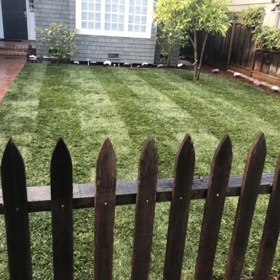 LAWN CARE SERVICE